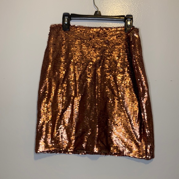 Sequin Skirt - Picture 1 of 3